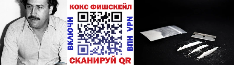 Купить закладки  Кировск  Cocaine 98% 