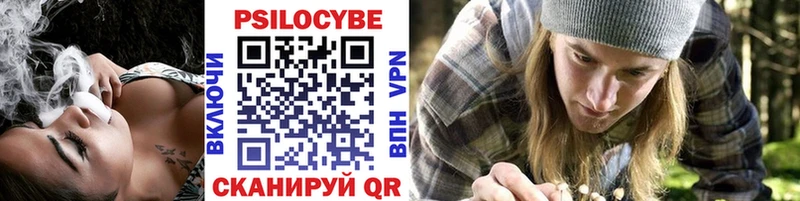 Купить закладки  Кировск  Галлюциногенные грибы мицелий 